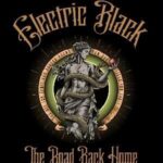 Electric Black poster